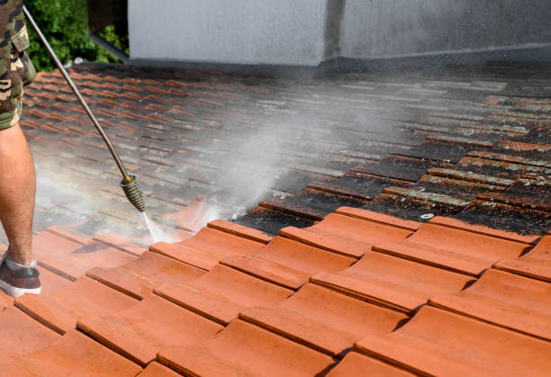 Reliable Eidson Road, TX Pressure Washing Solutions